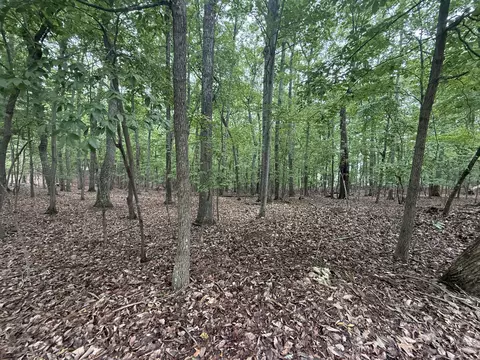 lot18 Saunders Point Rd, Huddleston, VA 24104