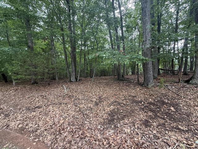 lot23 Lee Dr, Huddleston, VA 24104