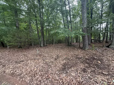 lot24 Lee Dr, Huddleston, VA 24104