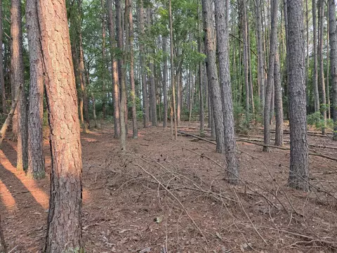 lot2 Morgans Fork Rd, Penhook, VA 24137 photo 3