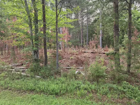 lot2 Morgans Fork Rd, Penhook, VA 24137 photo 2