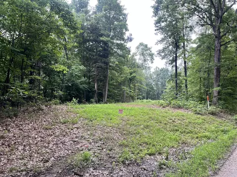 0 Timber Line Rd, Ferrum, VA 24088 photo 1