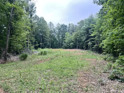 0 Timber Line Rd, Ferrum, VA 24088 photo 3