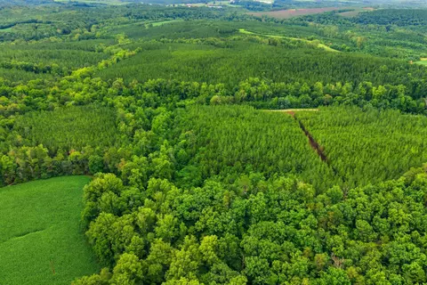 lot A5 Grassland Dr, Sandy Level, VA 24161 photo 13