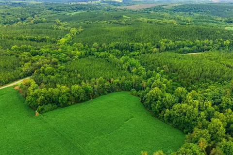 lot A5 Grassland Dr, Sandy Level, VA 24161 photo 15
