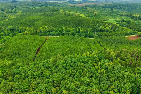 lot A5 Grassland Dr, Sandy Level, VA 24161 photo 11