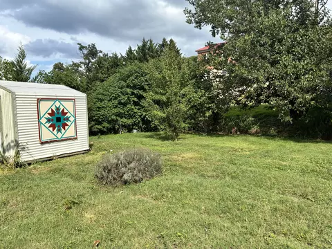 Exterior - 334 Lowe St, Buchanan, VA 24066 photo 6 of 7