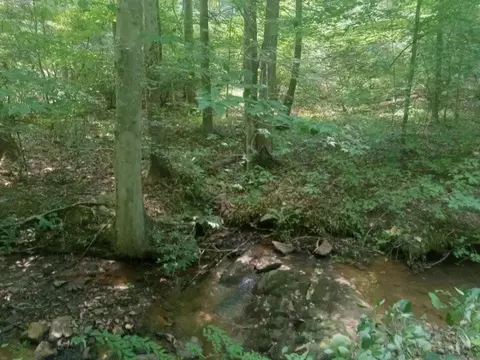 Other - 19660 Franklin St, Ferrum, VA 24088 photo 2 of 15