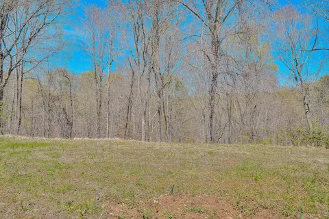 Other - 19660 Franklin St, Ferrum, VA 24088 photo 9 of 15