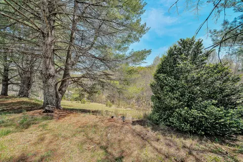 Exterior - 19660 Franklin St, Ferrum, VA 24088 photo 4 of 6