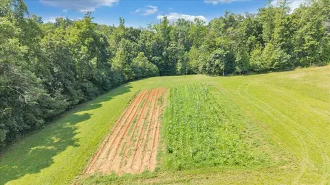 5105 Haw Patch Rd, Ferrum, VA 24088 photo 10