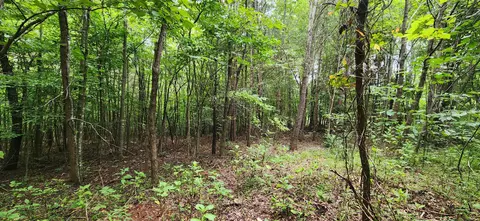 lot6 Brooks Mill Rd, Glade Hill, VA 24092