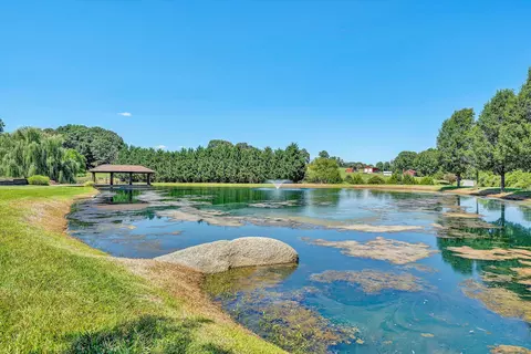 View/Area - 1237 Cochese Dr, Moneta, VA 24121 photo 15 of 15