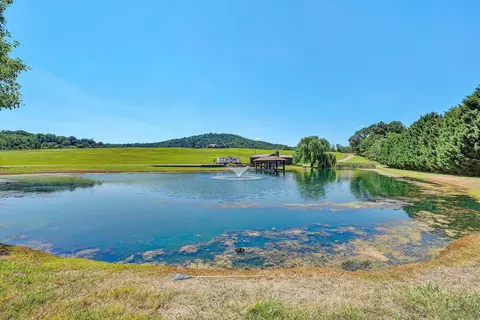 View/Area - 1237 Cochese Dr, Moneta, VA 24121 photo 14 of 15