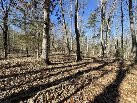 0 Timber Rdg, Buchanan, VA 24066 photo 2