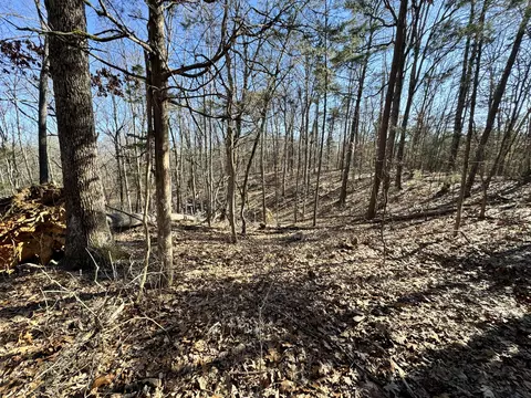 0 Timber Rdg, Buchanan, VA 24066 photo 4