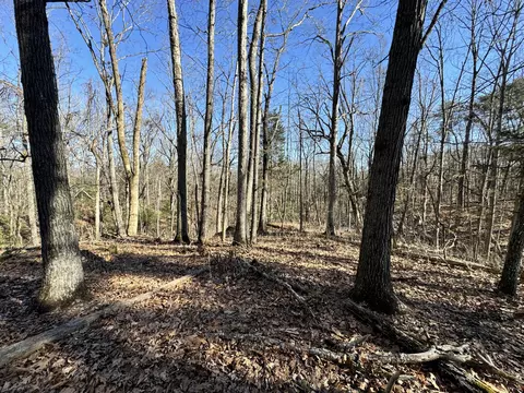 0 Timber Rdg, Buchanan, VA 24066 photo 5