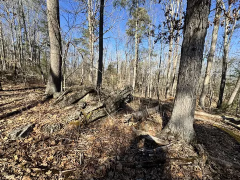 0 Timber Rdg, Buchanan, VA 24066 photo 10