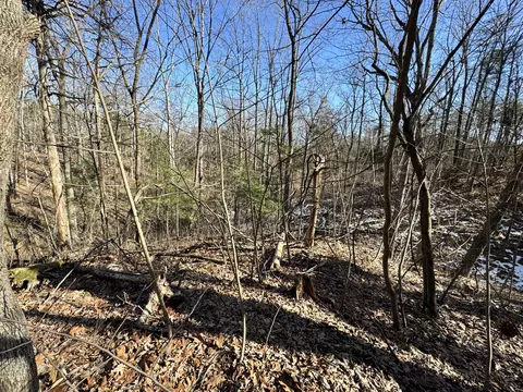 0 Timber Rdg, Buchanan, VA 24066 photo 8