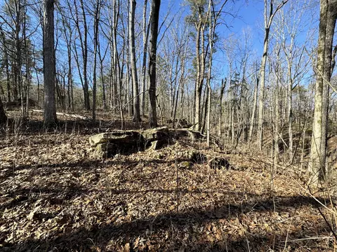 0 Timber Rdg, Buchanan, VA 24066 photo 9