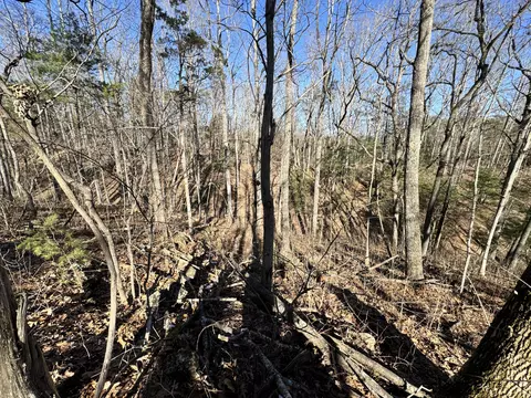 0 Timber Rdg, Buchanan, VA 24066 photo 6