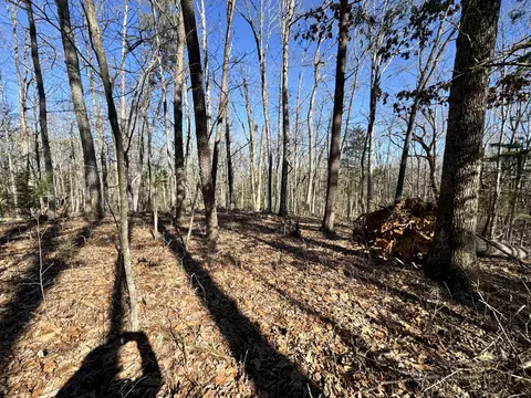0 Timber Rdg, Buchanan, VA 24066 photo 3