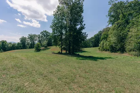 366 Beecher Ln, Buchanan, VA 24066 photo 3