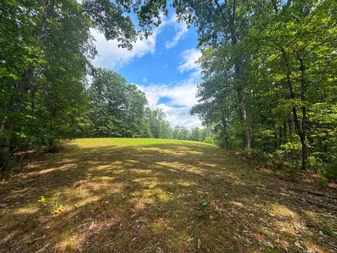 366 Beecher Ln, Buchanan, VA 24066 photo 19