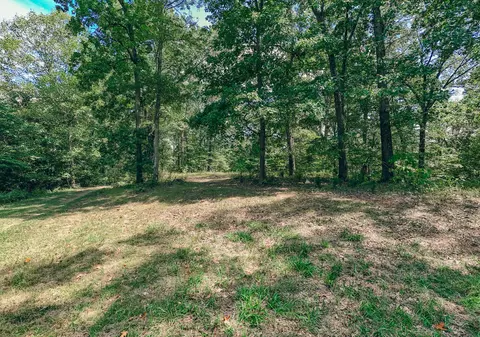 366 Beecher Ln, Buchanan, VA 24066 photo 13