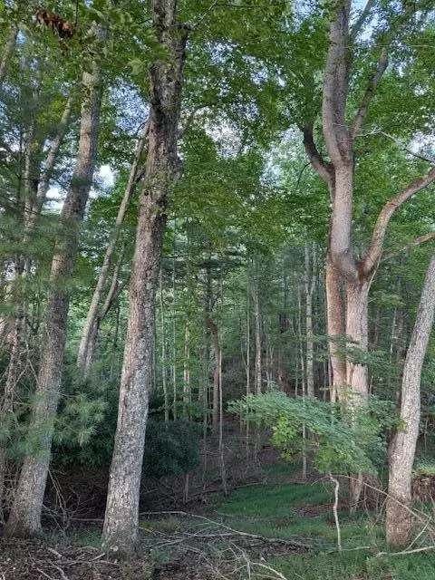 tbd Sumner Ln NE, Floyd, VA 24091 photo 2