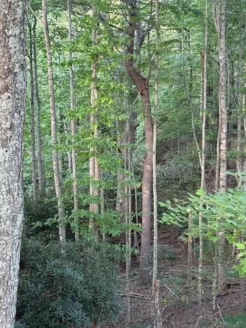 tbd Sumner Ln NE, Floyd, VA 24091 photo 3