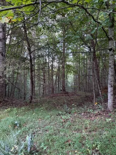 tbd Sumner Ln NE, Floyd, VA 24091 photo 6