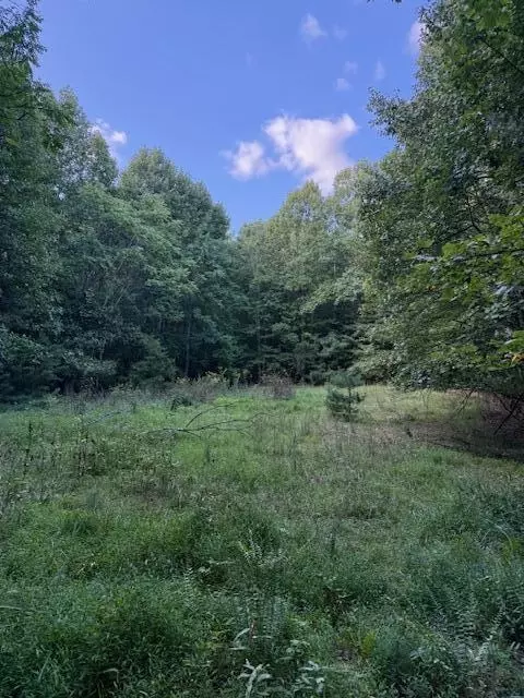 tbd Sumner Ln NE, Floyd, VA 24091 photo 5
