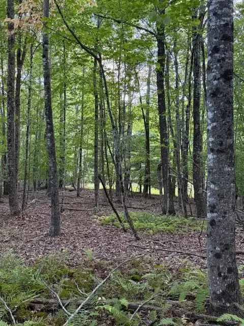 tbd Sumner Ln NE, Floyd, VA 24091 photo 11