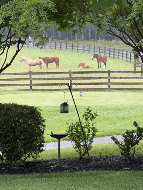 Exterior - 18 Flagstick Ct, Penhook, VA 24137 photo 6 of 23