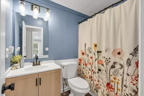 Bath - 1675 Ashley Dr, Hardy, VA 24101 photo 3 of 3