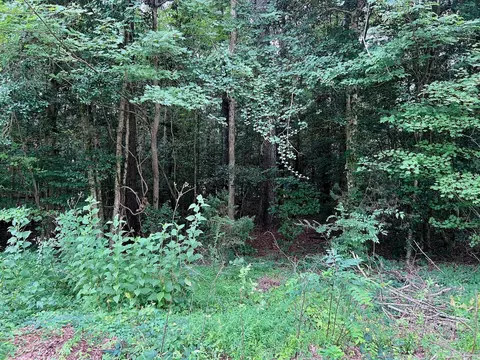 0 Chestnut Dr, Bracey, VA 23919 photo 24