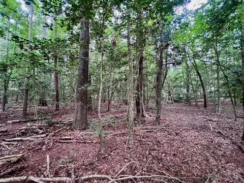 0 Chestnut Dr, Bracey, VA 23919 photo 28