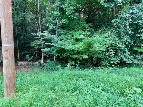 0 Chestnut Dr, Bracey, VA 23919 photo 33