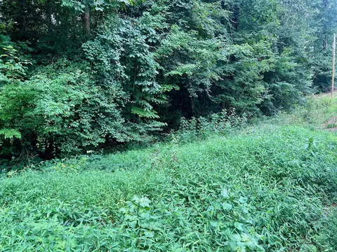 0 Chestnut Dr, Bracey, VA 23919 photo 31