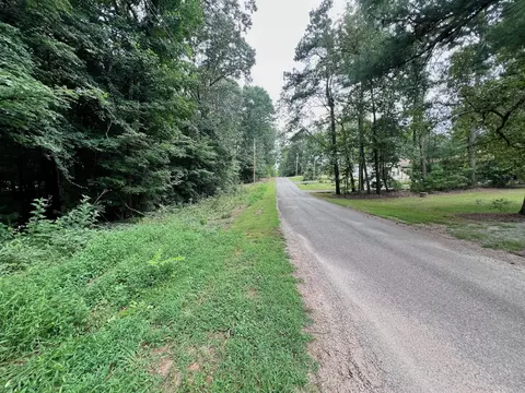 0 Chestnut Dr, Bracey, VA 23919 photo 34