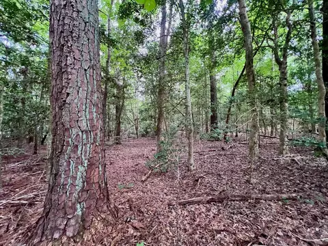 0 Chestnut Dr, Bracey, VA 23919 photo 29