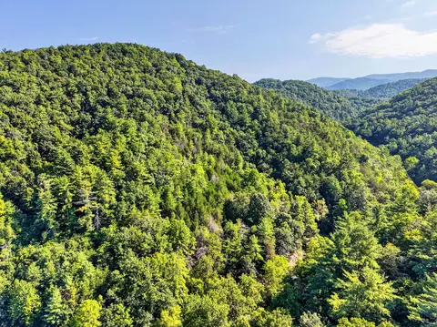 Undisclosed, Shawsville, VA 24162