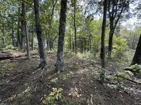 Exterior - 576 Alpine Rd, Buchanan, VA 24066 photo 7 of 27