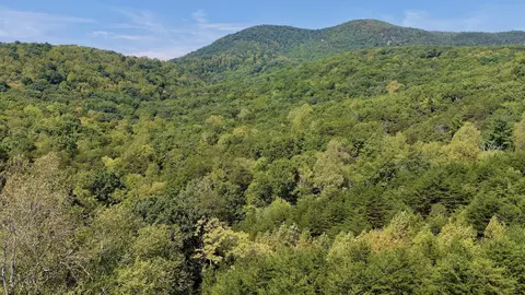 Other - 576 Alpine Rd, Buchanan, VA 24066 photo 36 of 47