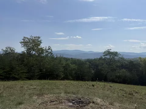 Exterior - 576 Alpine Rd, Buchanan, VA 24066 photo 10 of 27