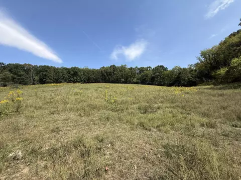 Exterior - 576 Alpine Rd, Buchanan, VA 24066 photo 12 of 27