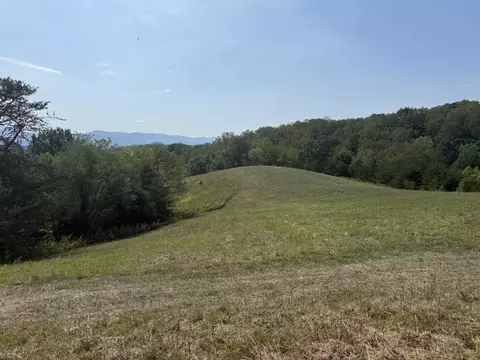 Other - 576 Alpine Rd, Buchanan, VA 24066 photo 29 of 47