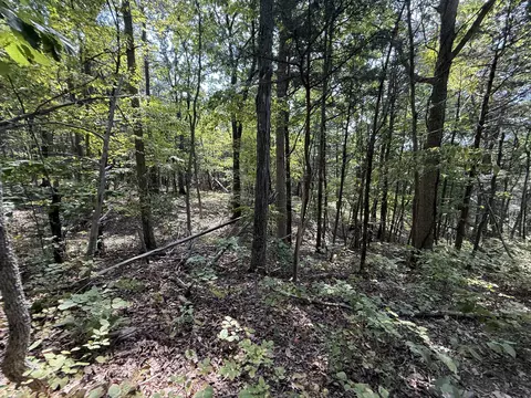 Exterior - 576 Alpine Rd, Buchanan, VA 24066 photo 8 of 27