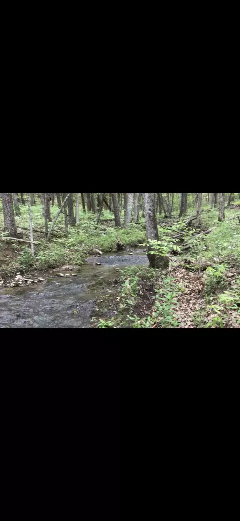 Other - 576 Alpine Rd, Buchanan, VA 24066 photo 47 of 47